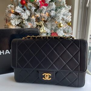 Chanel Diana Border Single Flap